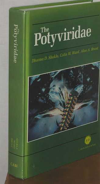 Image for The Potyviridae