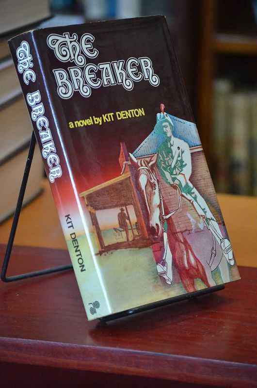 Image for The Breaker