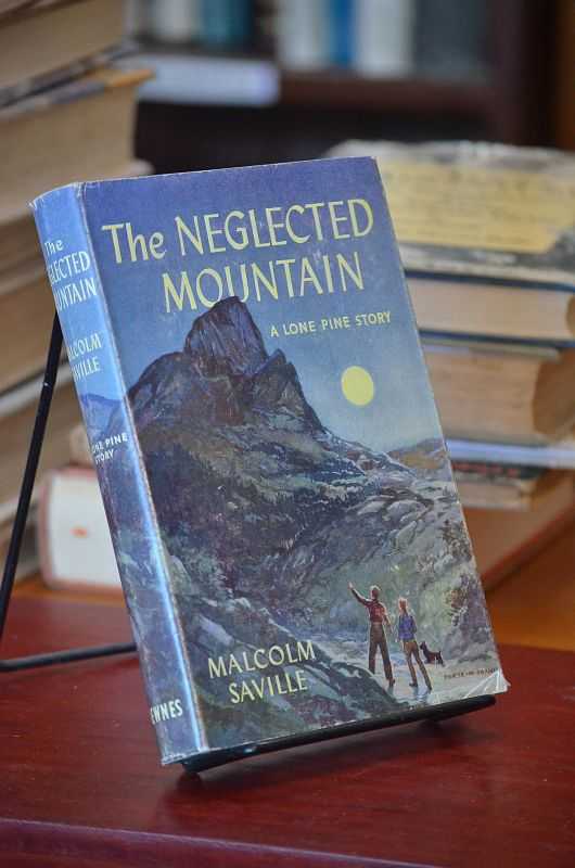 Image for The Neglected Mountain